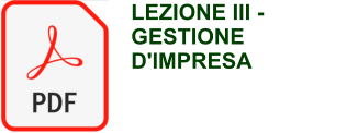 LEZIONE III - GESTIONE D'IMPRESA