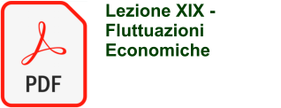 Lezione XIX -  Fluttuazioni Economiche