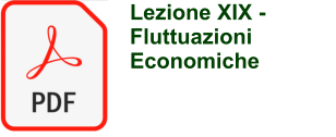 Lezione XIX - Fluttuazioni Economiche