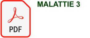MALATTIE 3