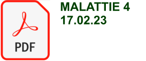 MALATTIE 4 17.02.23