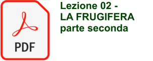 Lezione 02 -  LA FRUGIFERA parte seconda