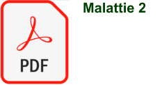 Malattie 2