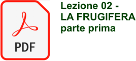 Lezione 02 -  LA FRUGIFERA parte prima