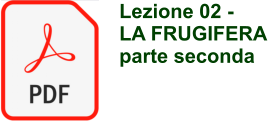 Lezione 02 -  LA FRUGIFERA parte seconda