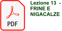 Lezione 13  - FRINE E NIGACALZE
